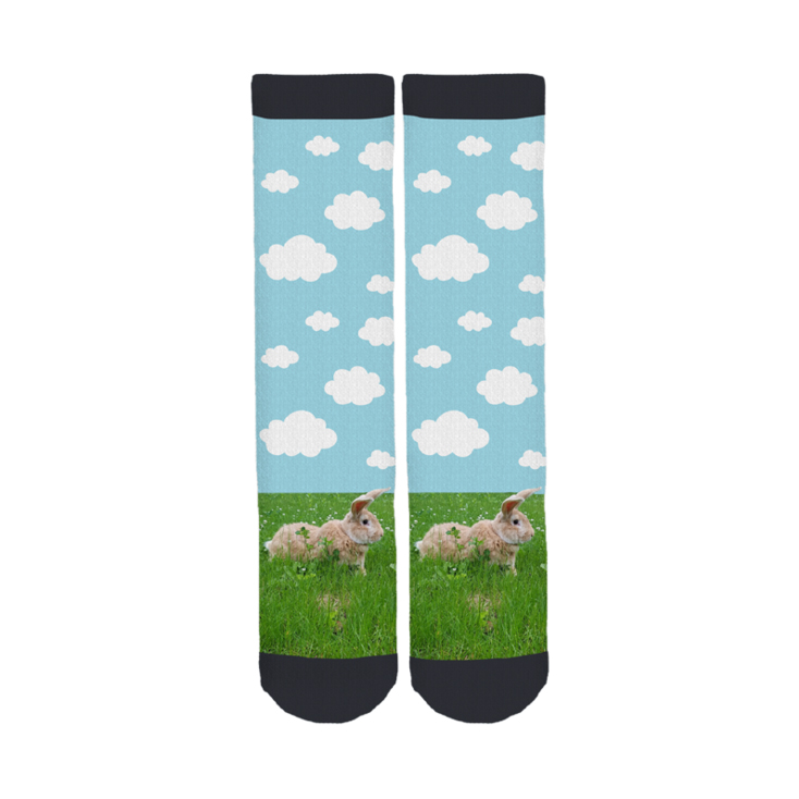 Riley Farm Rescue Socks 1.jpg