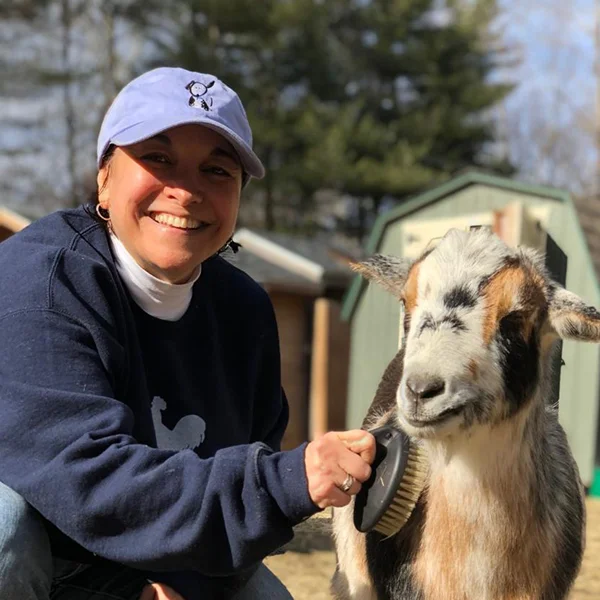 SHIRLEY - INTERNATIONAL ANIMAL RESCUE VOLUNTEER READ MORE