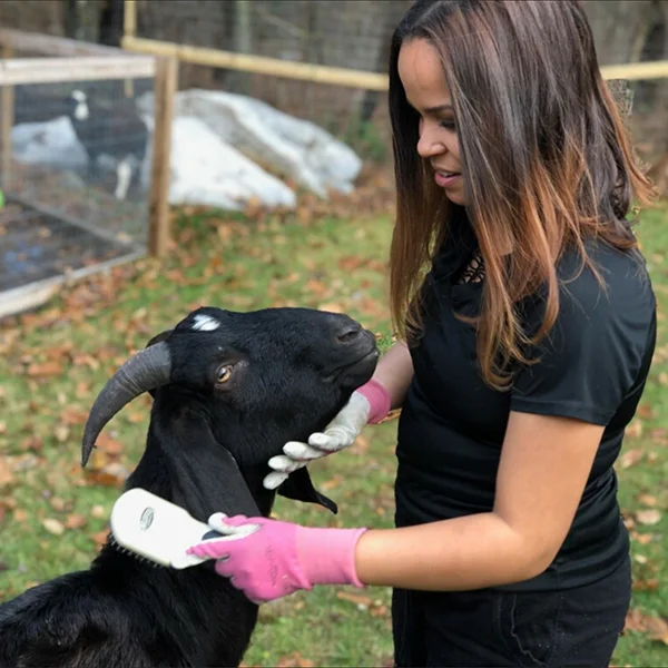Mariceli Riley Farm Rescue Volunteer.jpg