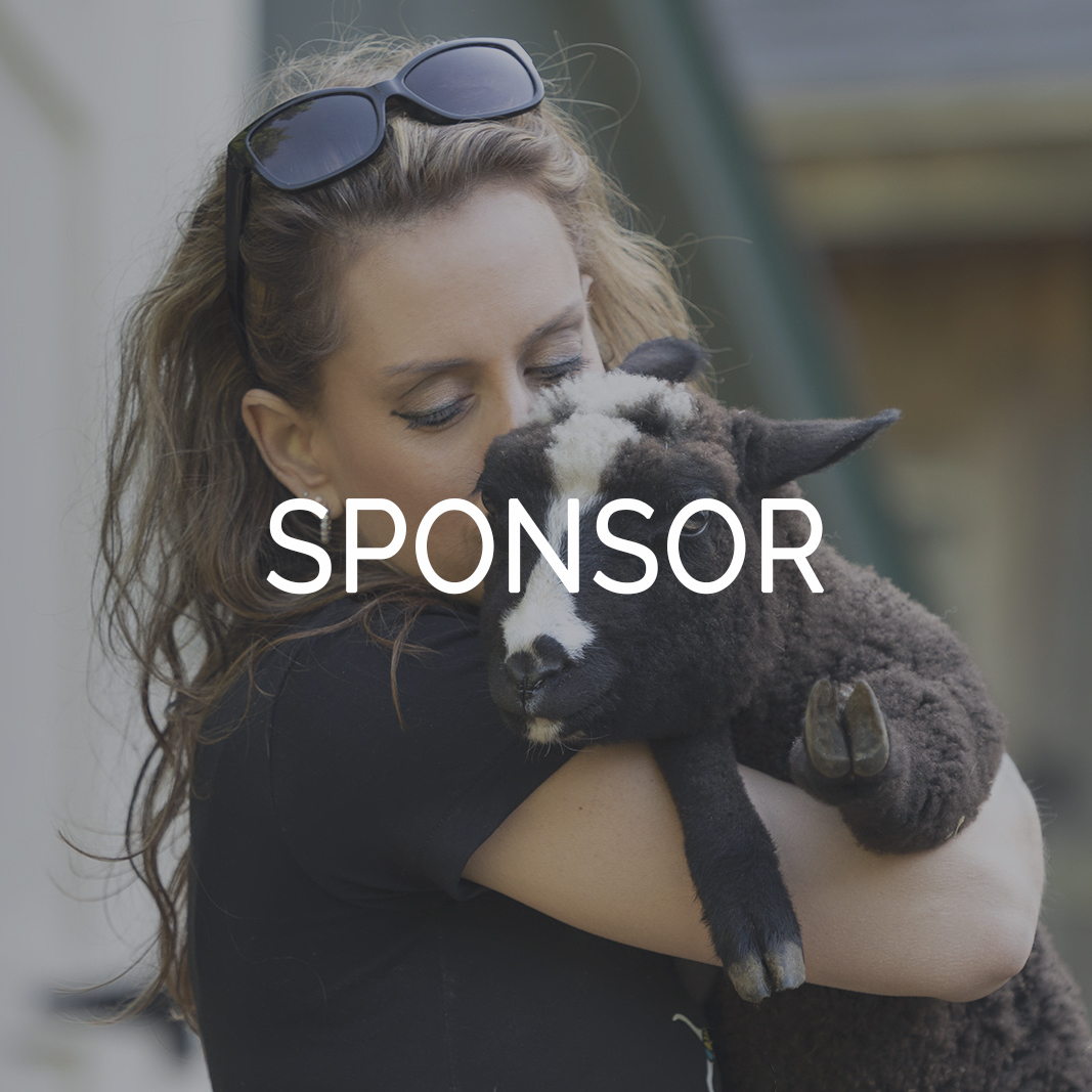 Sponsorship Thumbnail Riley Farm Rescue.jpg