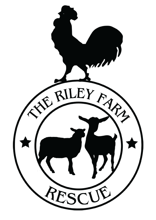Download The Riley Farm Rescue