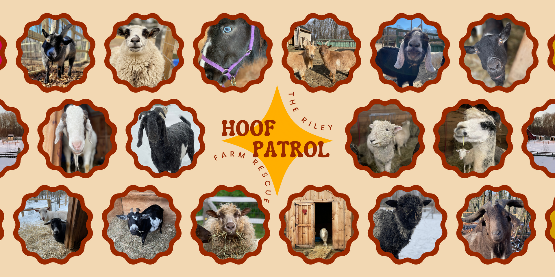 Super excited to launch our new Hoof Patrol Patreon program!