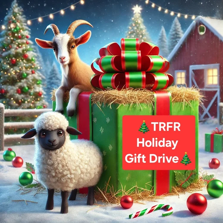 Holiday Gift Drive Flyer.png