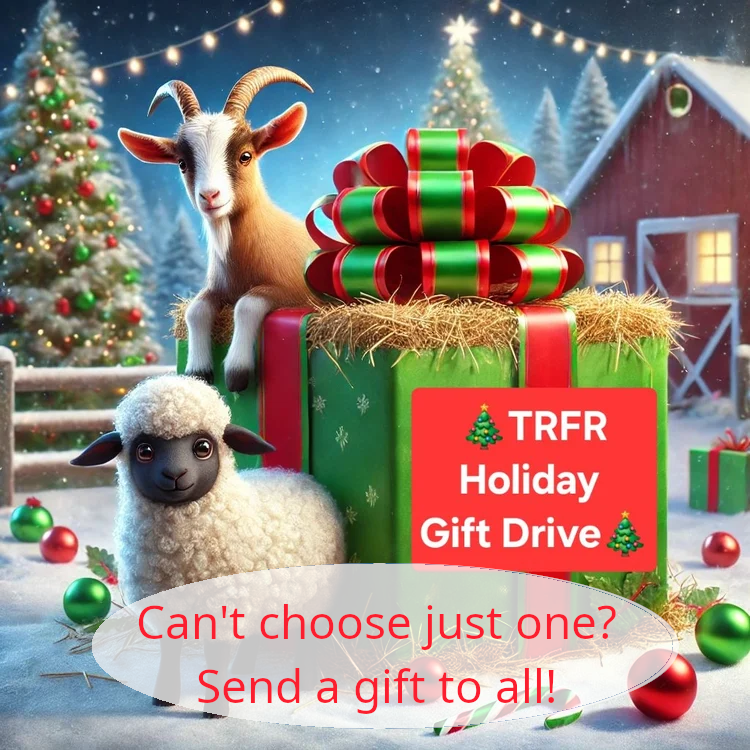 Sponsor a Holiday Animal