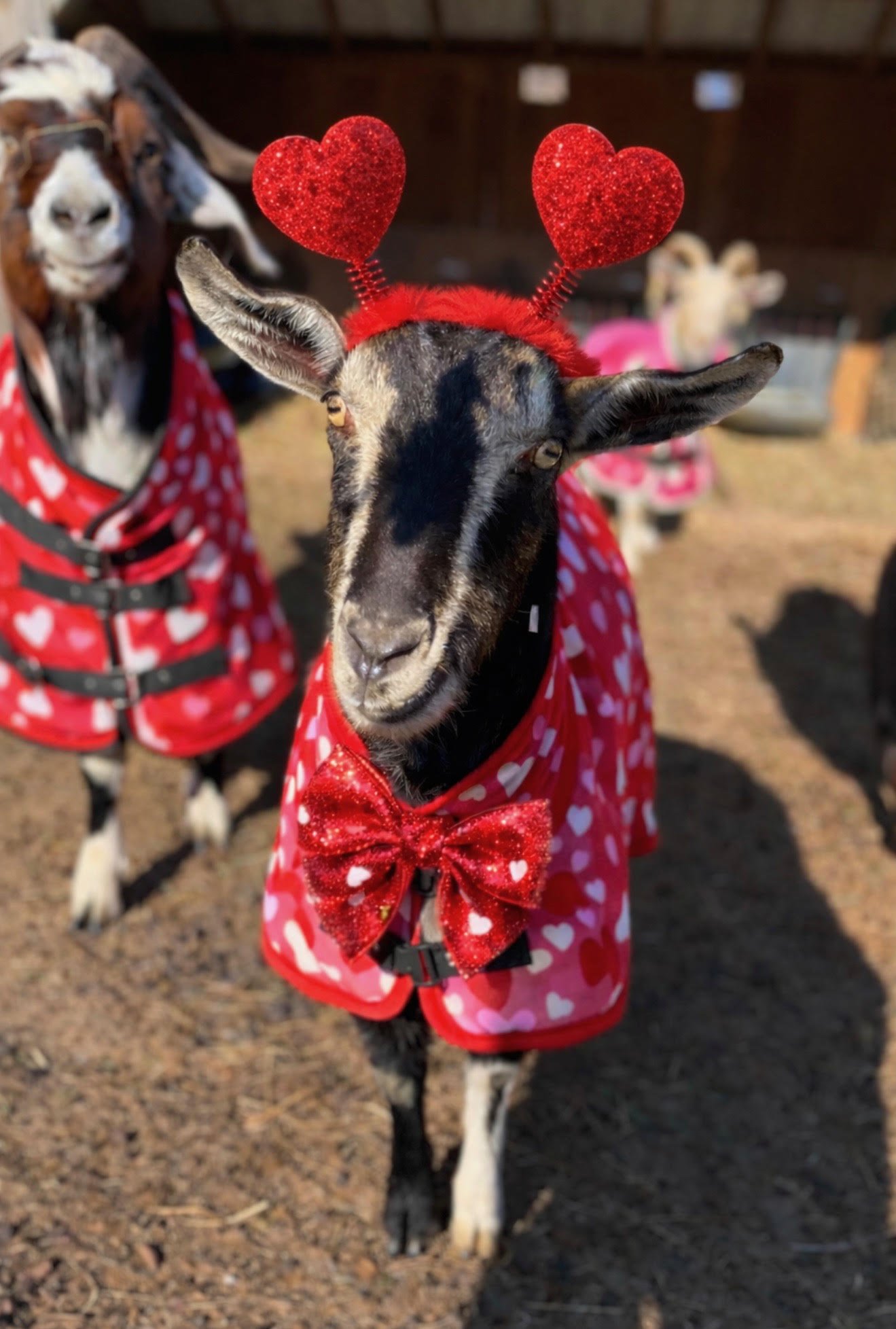 Leanne and Wesley.jpg