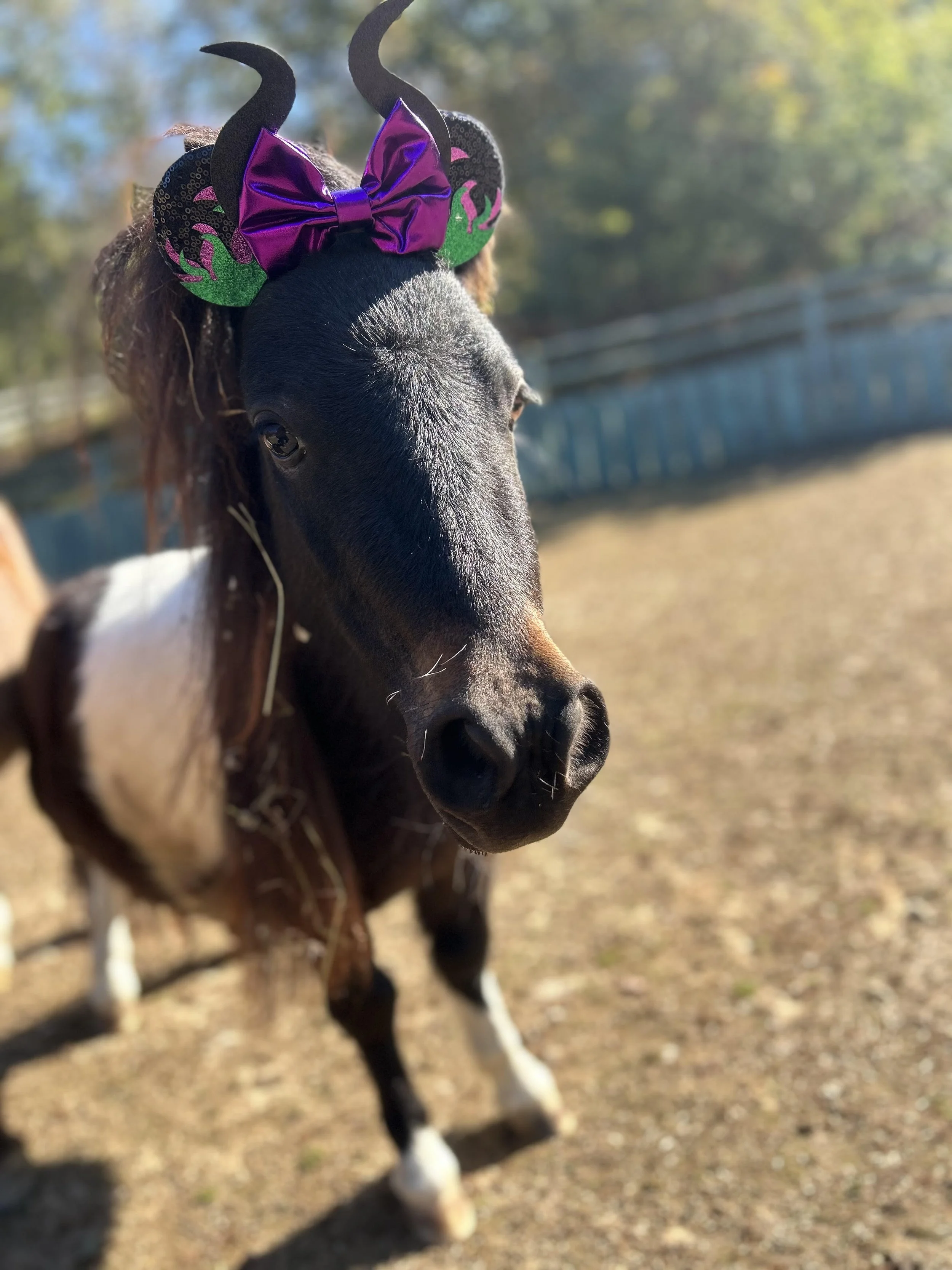 Cornelia.jpg