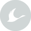 Circle Icon 3100.png