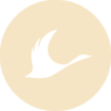 Circle Icon 4.png