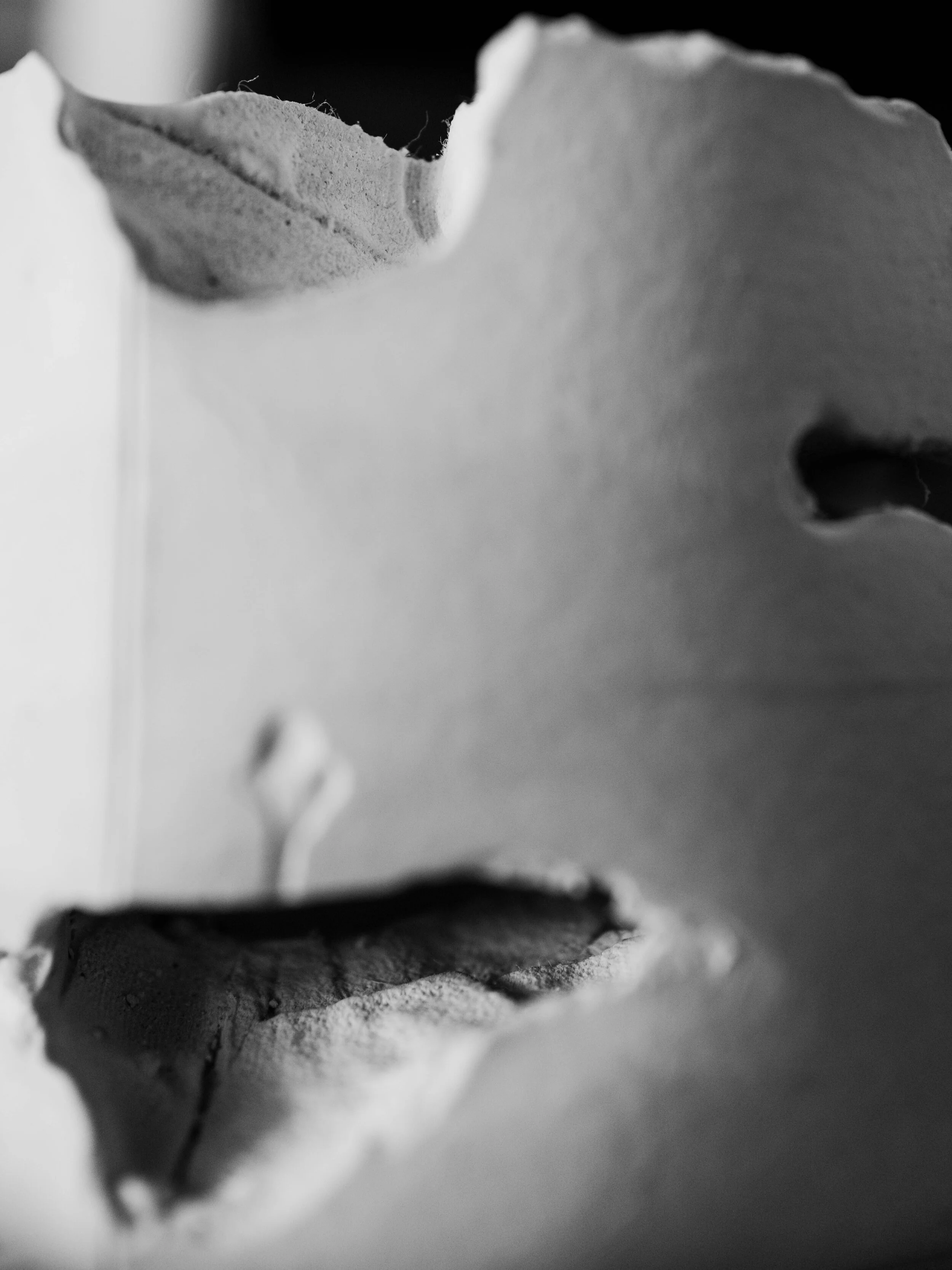 L1000341.jpg