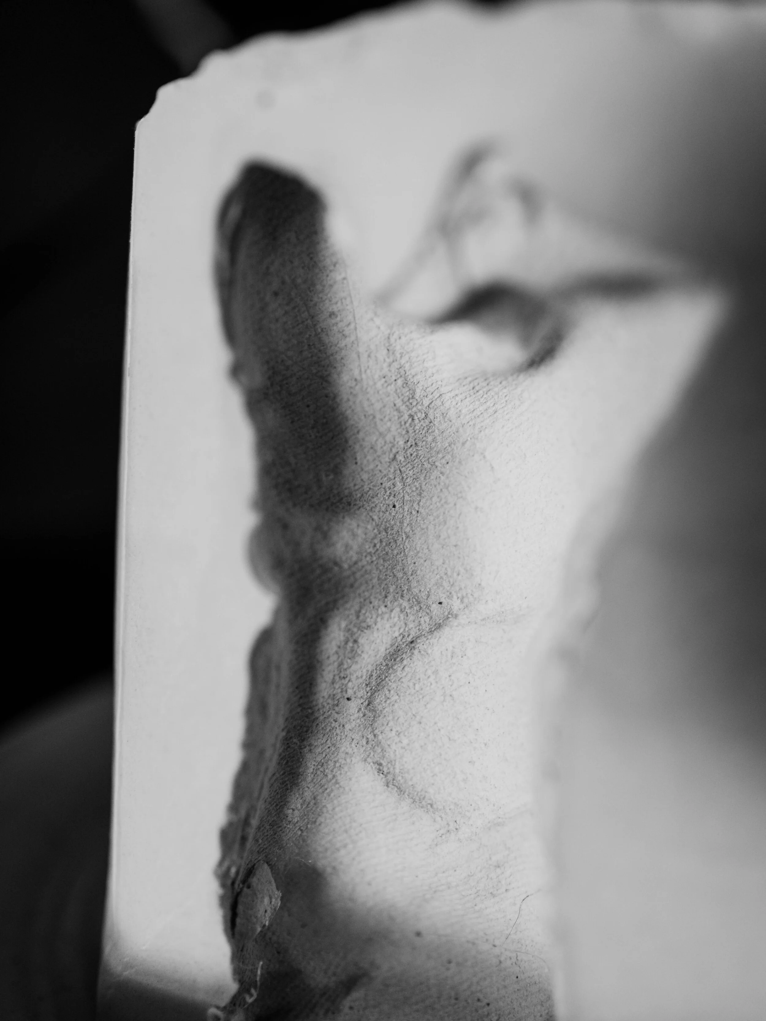 L1000340.jpg