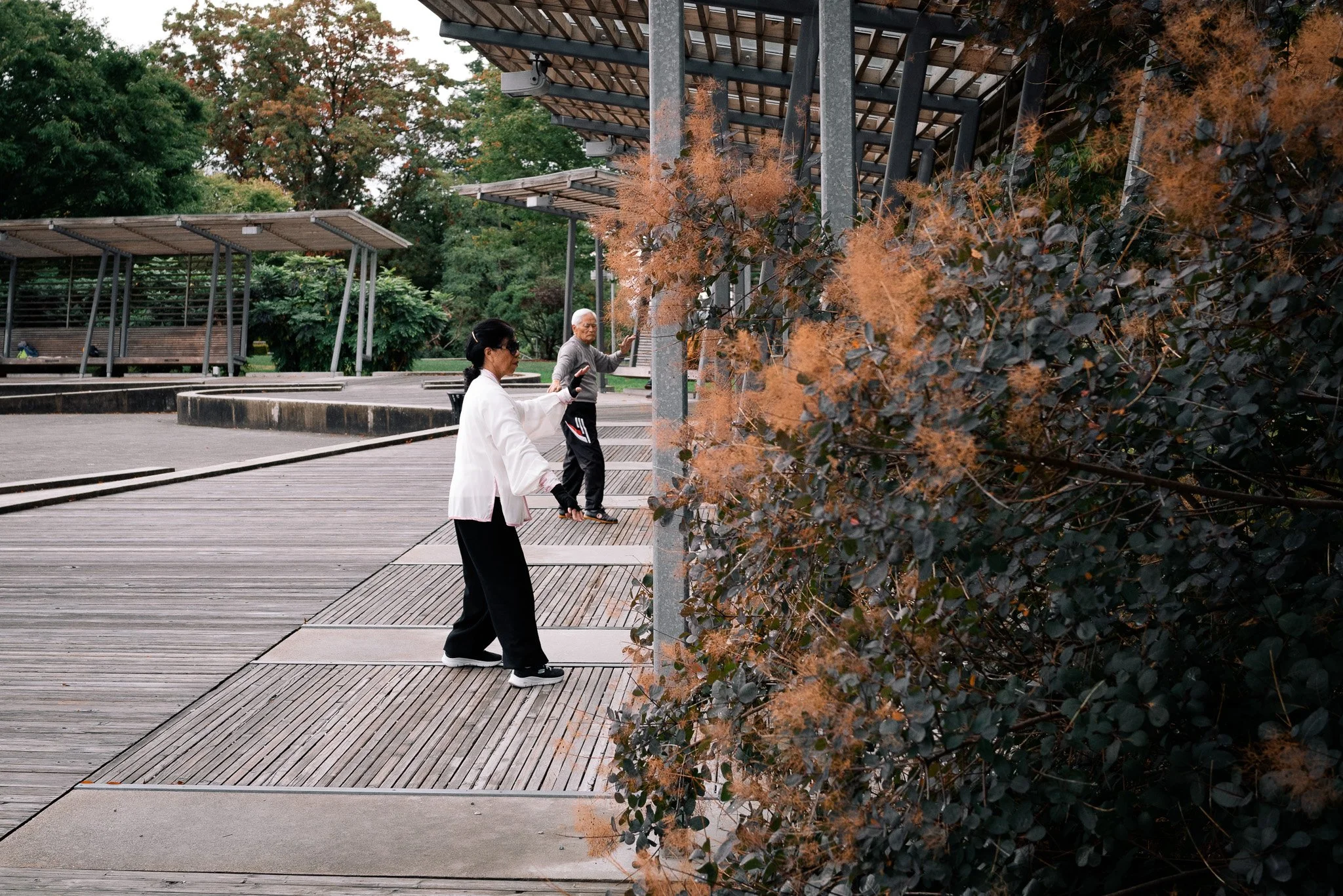 L1000071.jpg