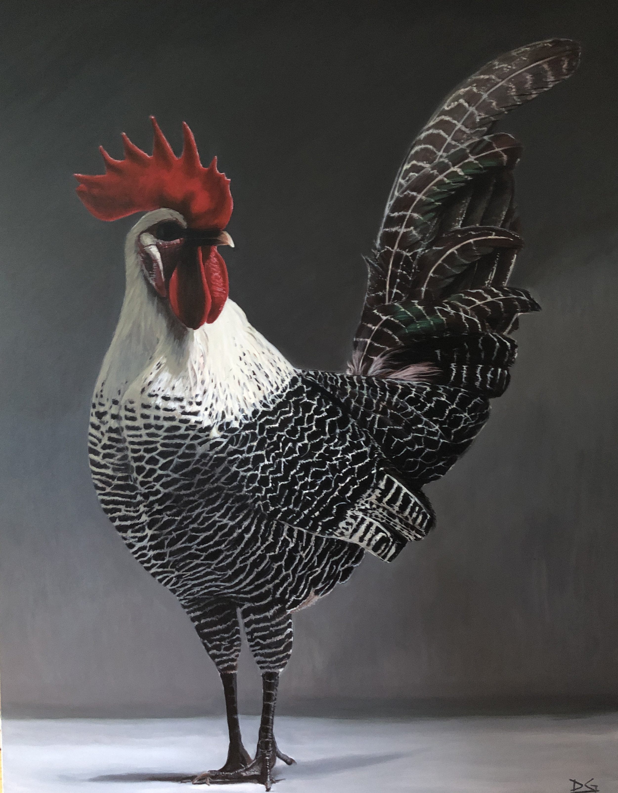 The Rooster.JPG