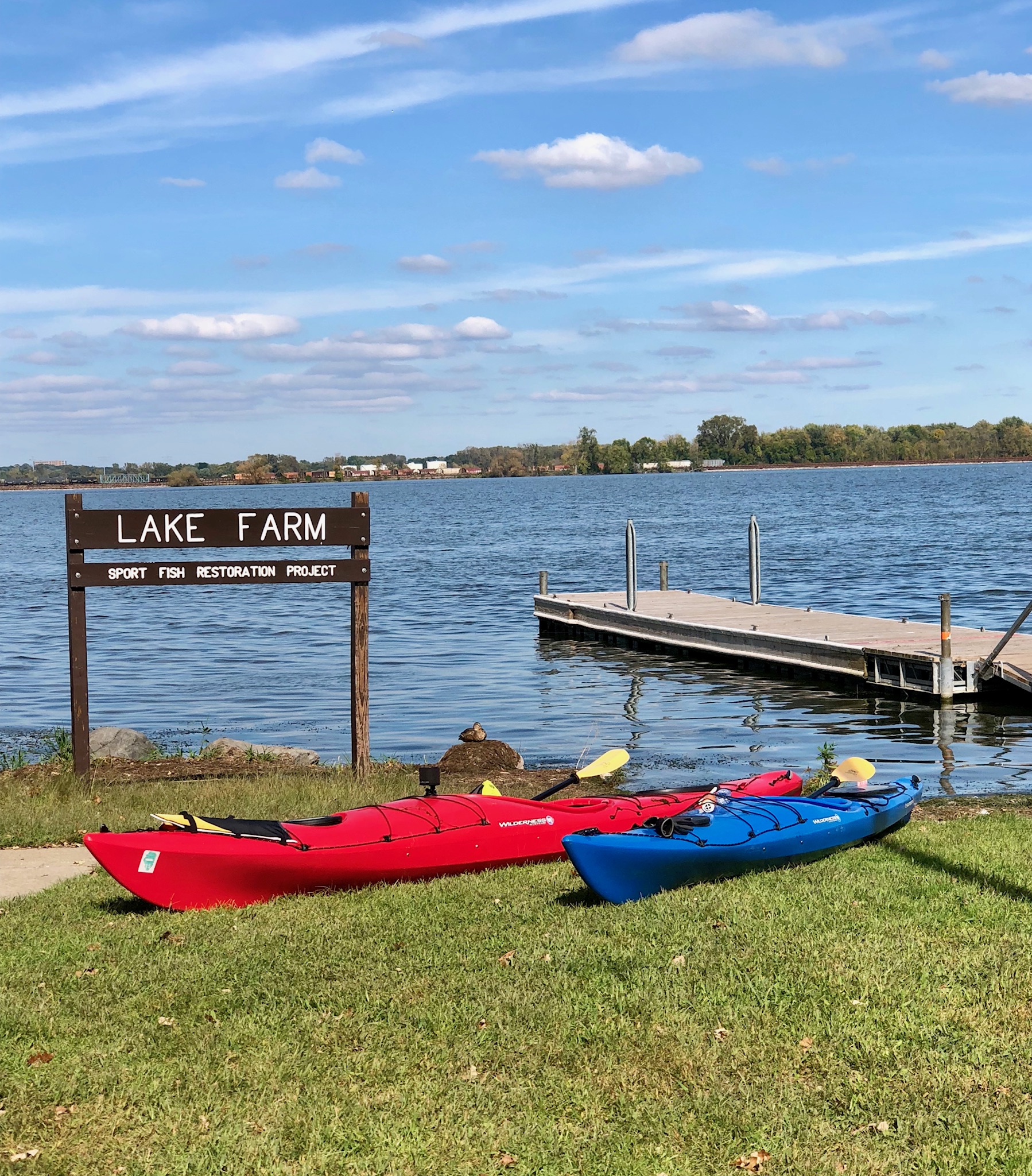 Sun,Natural Beauty, and Insects