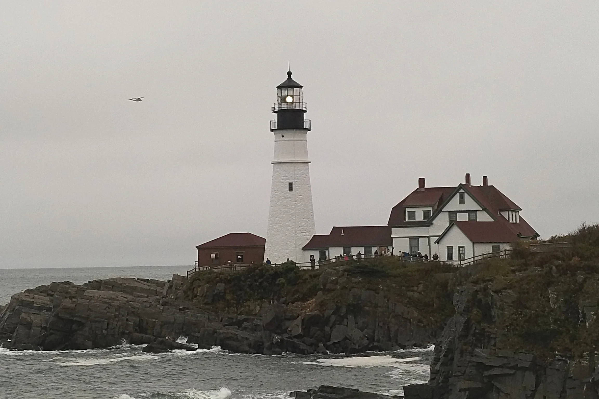 A Light in the Darkness