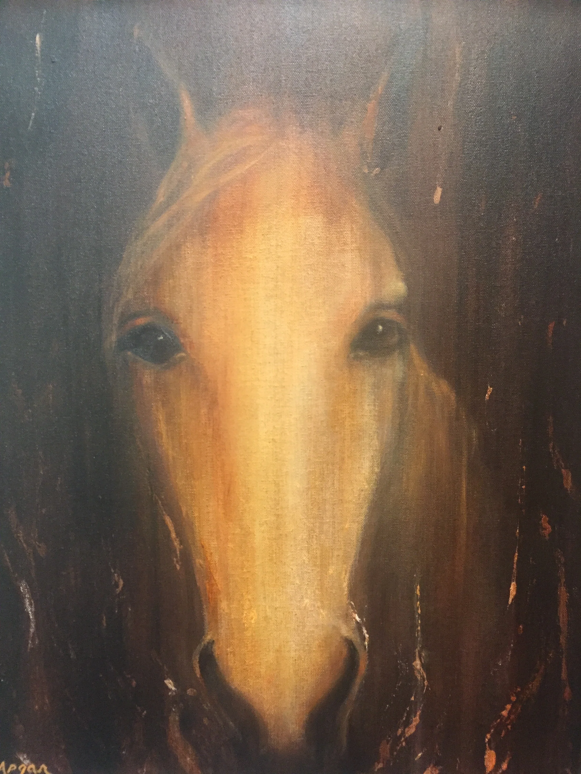Shadow Horse