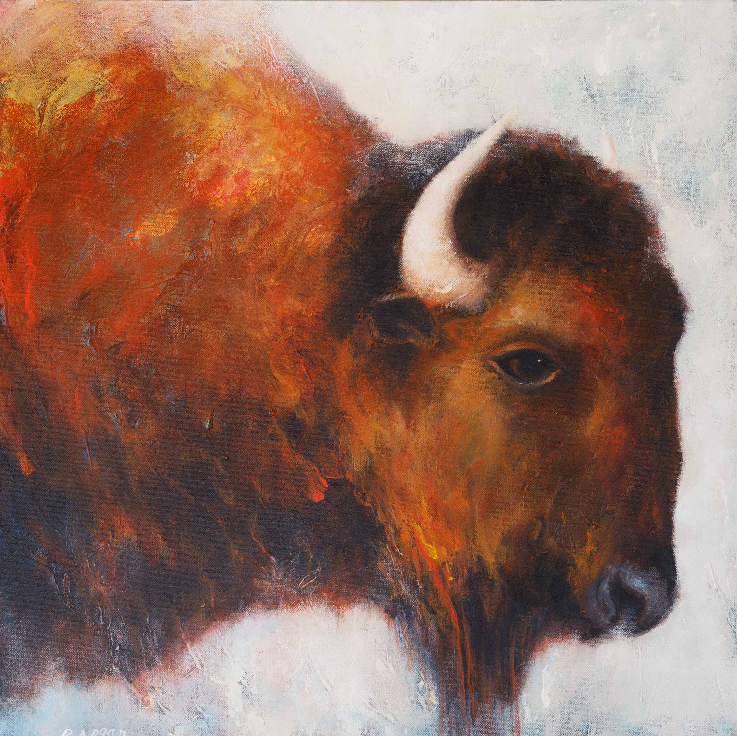 Buffalo