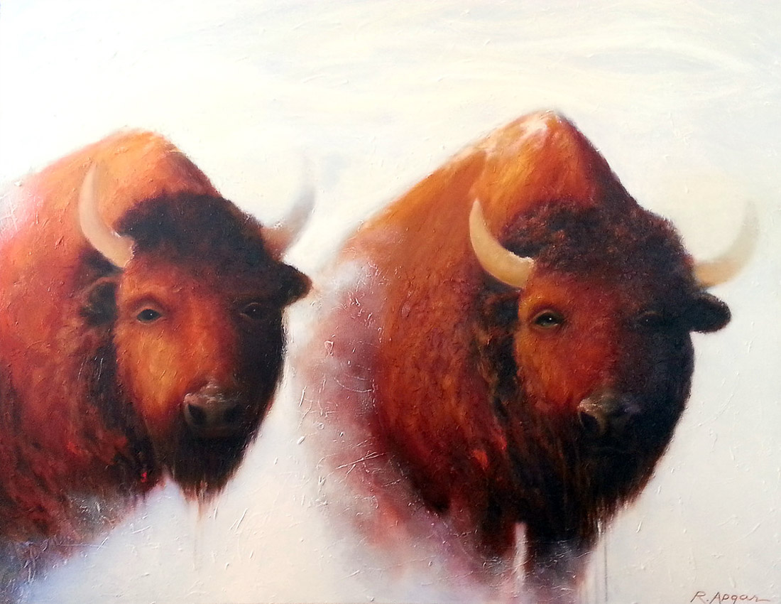 Roaming Buffalos