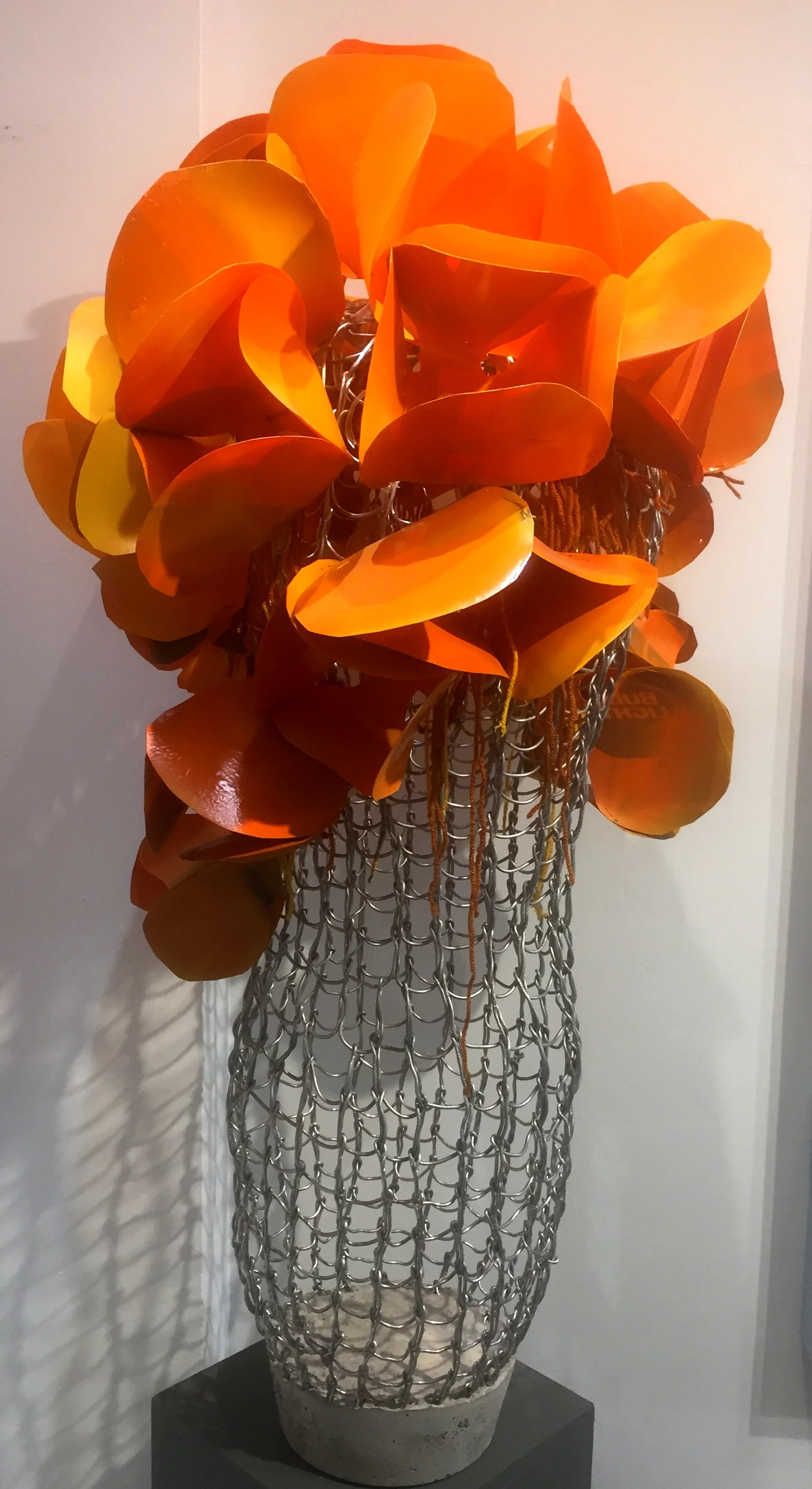 Desert Flame