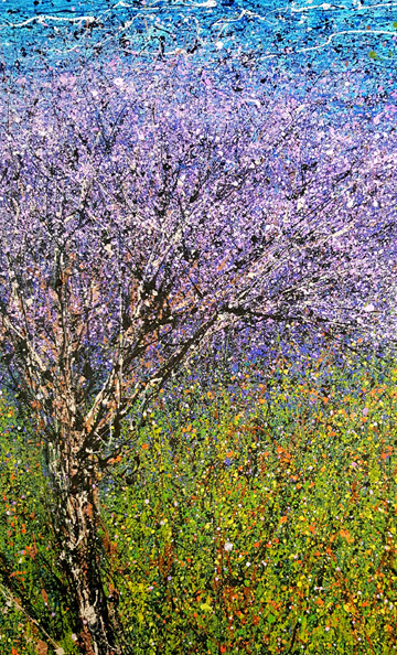 Jacaranda Daze