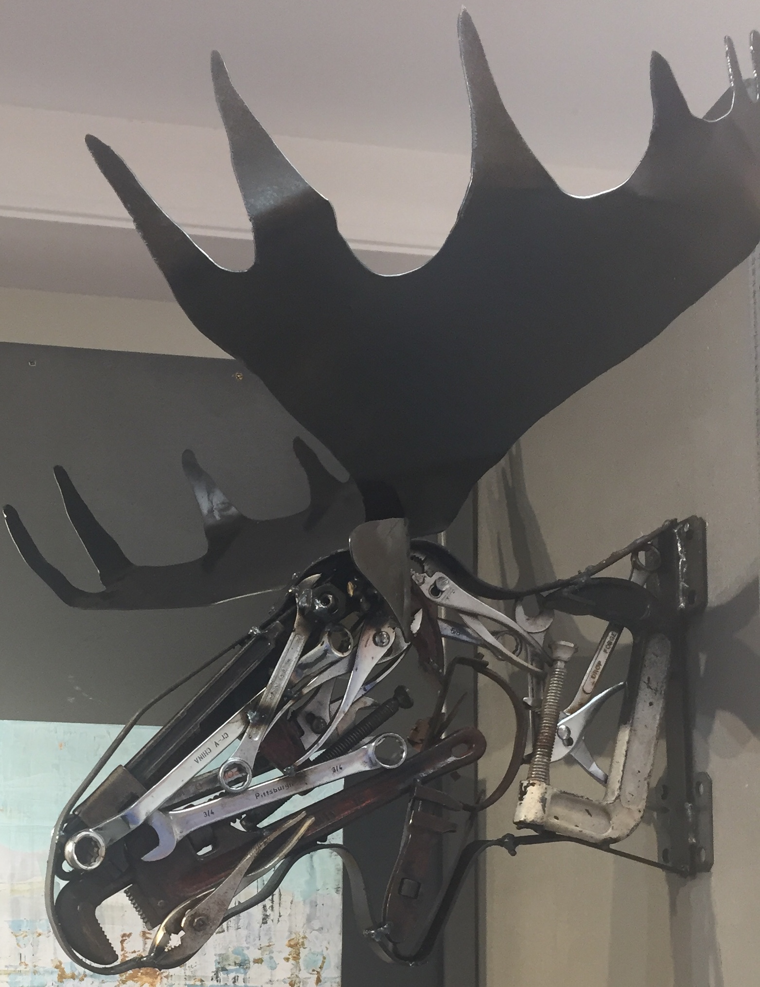 Moose Bull Head