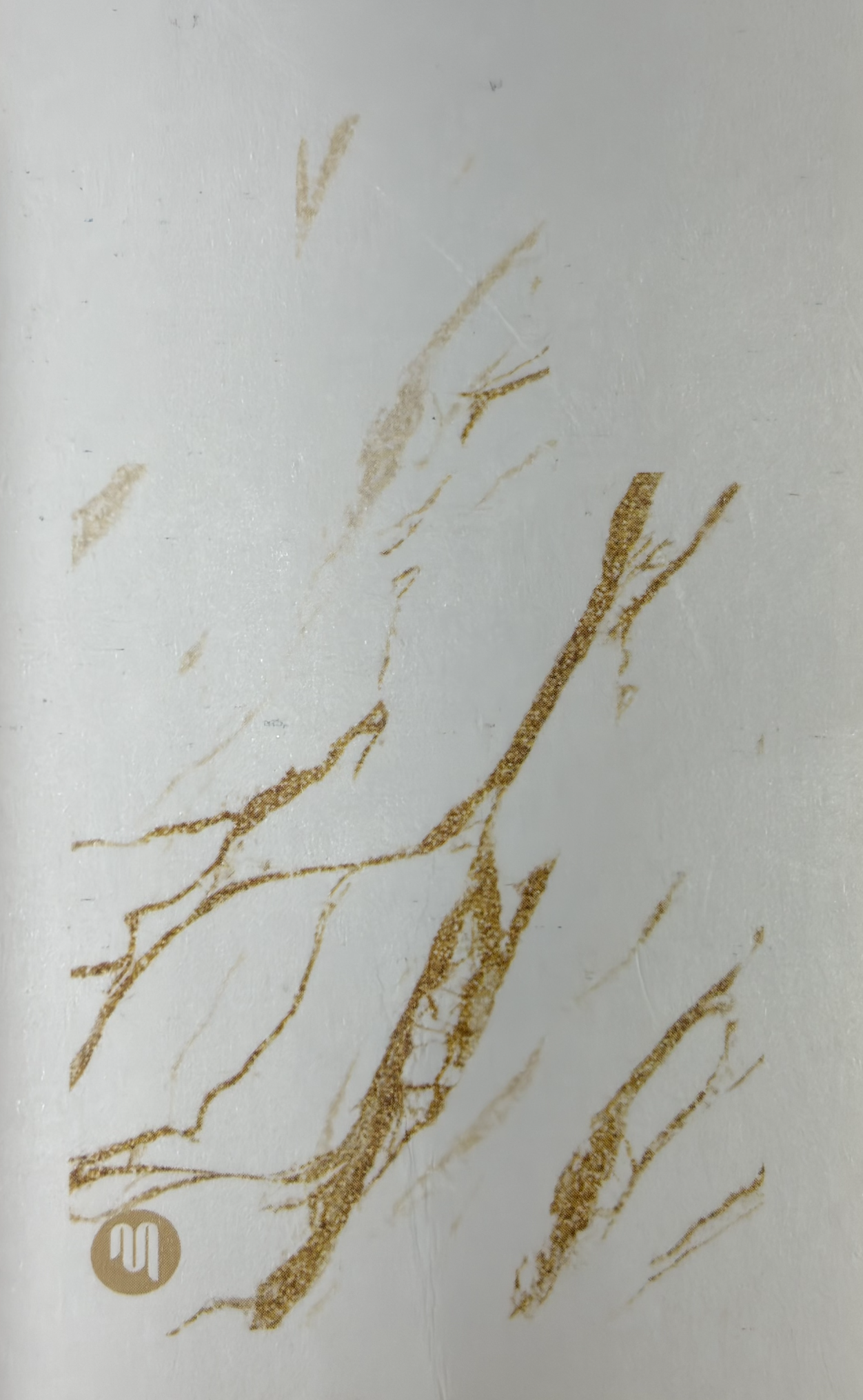 Screenshot 2026-02-10 at 4.34.46 pm.png