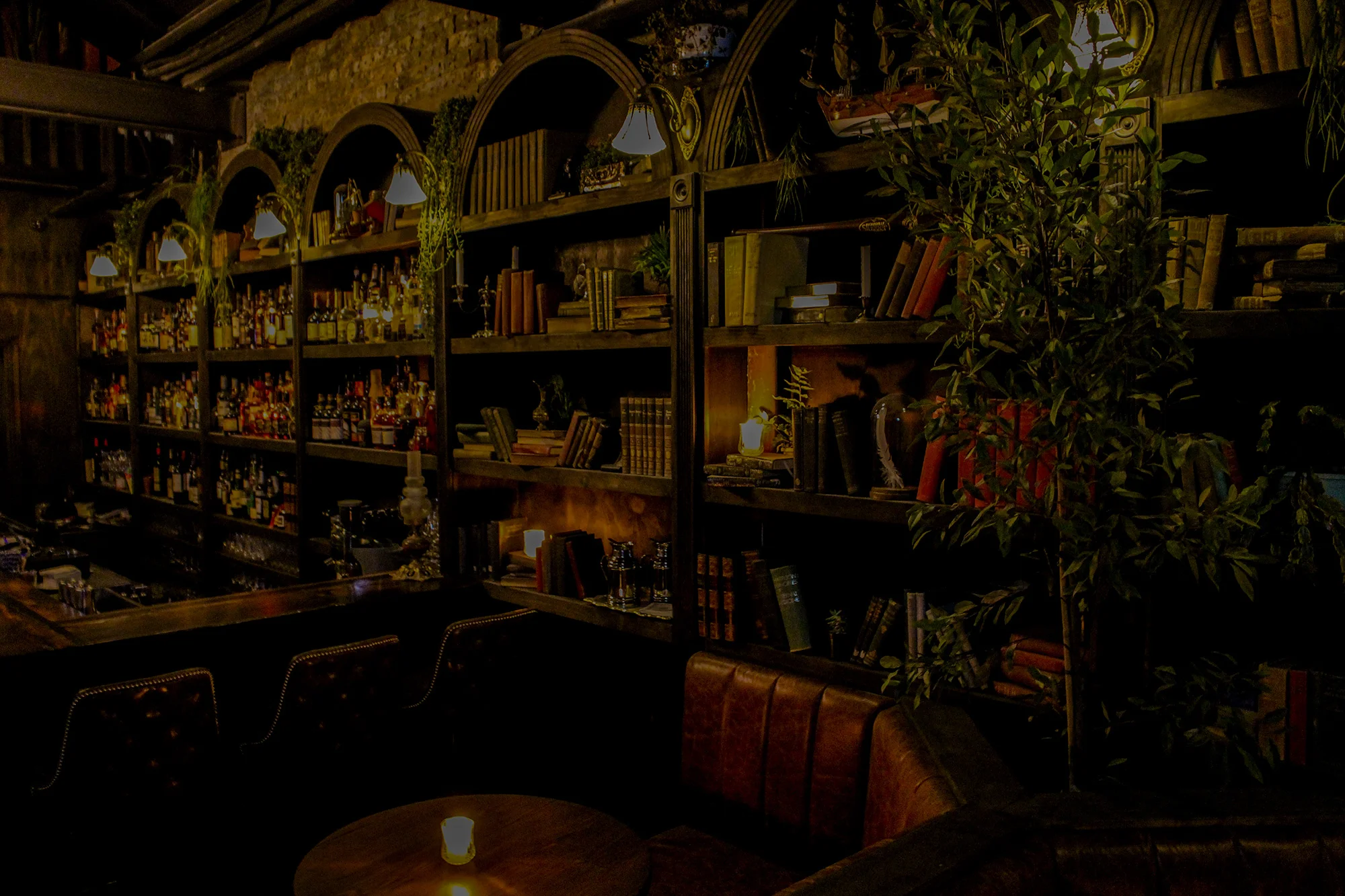 OMP_bar2_darkheader.jpg