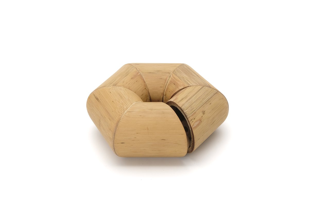Bamboo_Rattler#1_1.jpg