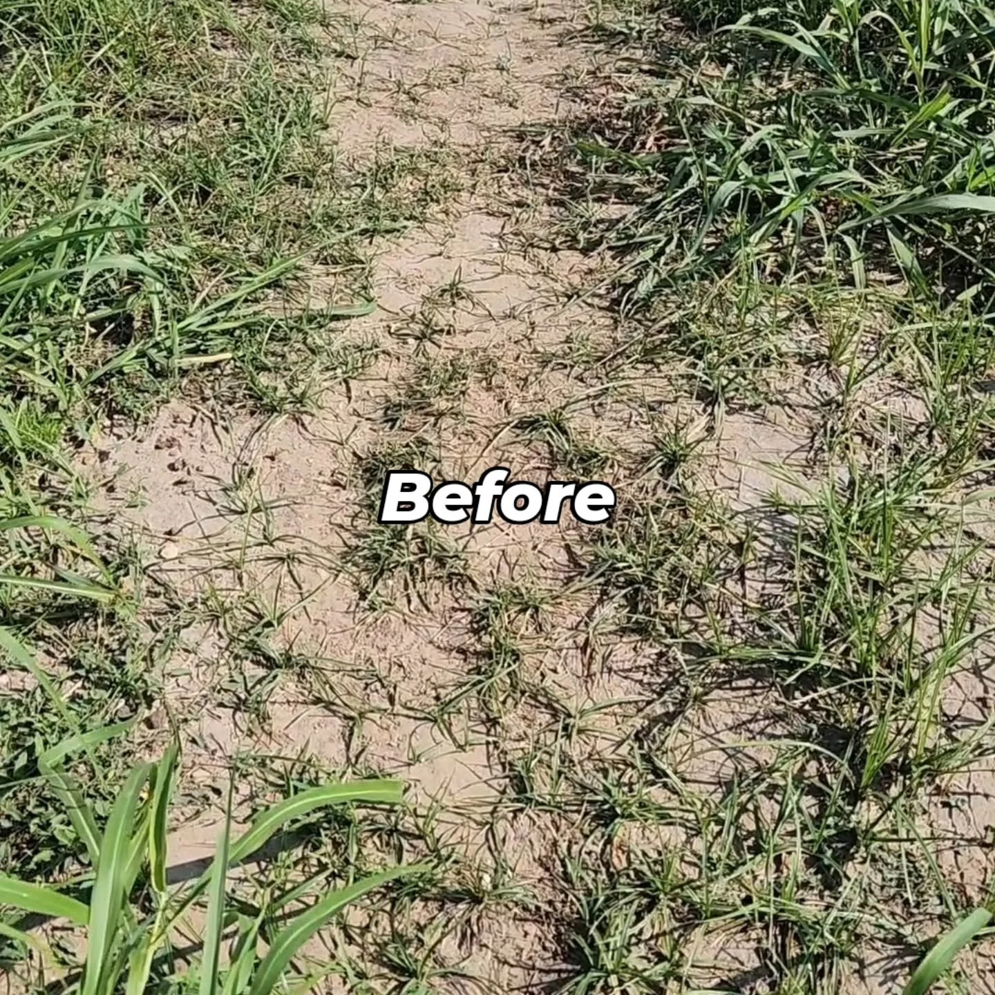 Before and after. If anybody would like to help dig tomorrow please give me a shout. Gonna keep this train rolling until everything gets a proper makeover. Once everything is reshaped and packed in we will be getting a new load of red dirt to restore