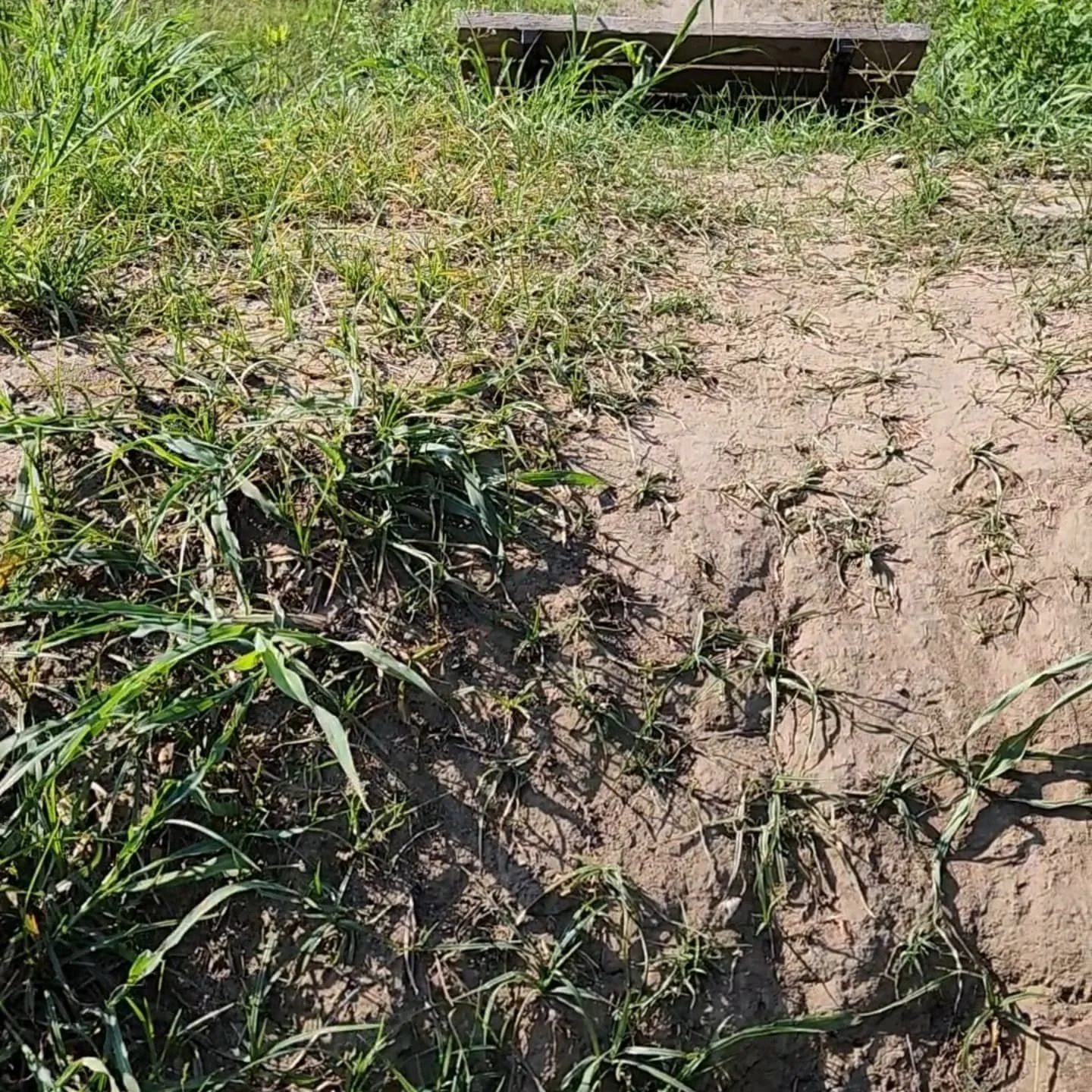 Stages of development. Actually managed to finish up with 20 minutes left to ride and check how everything feels on this line. It rides and feels awesome FYI.