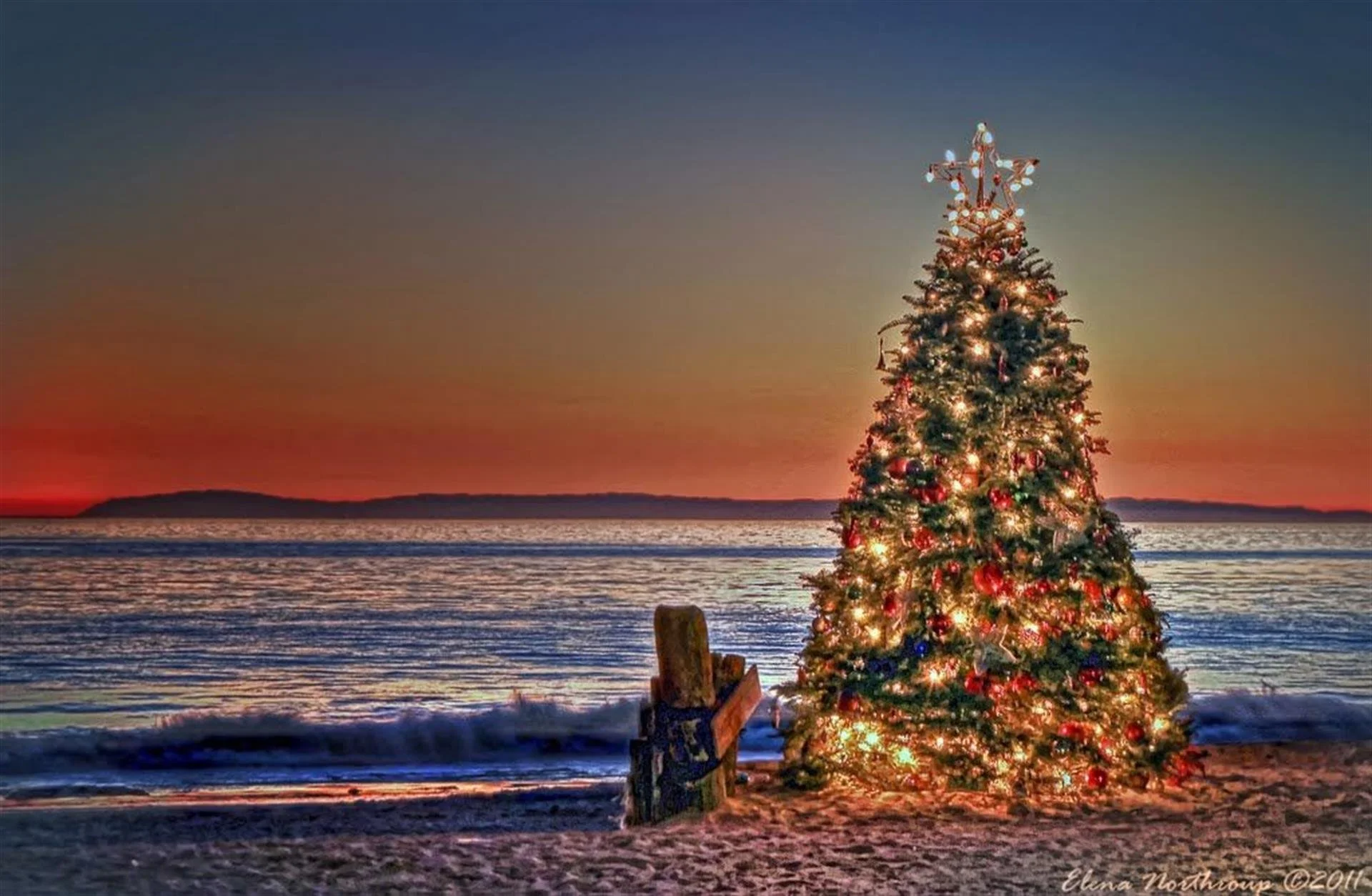 Sing the Joy of Christmas