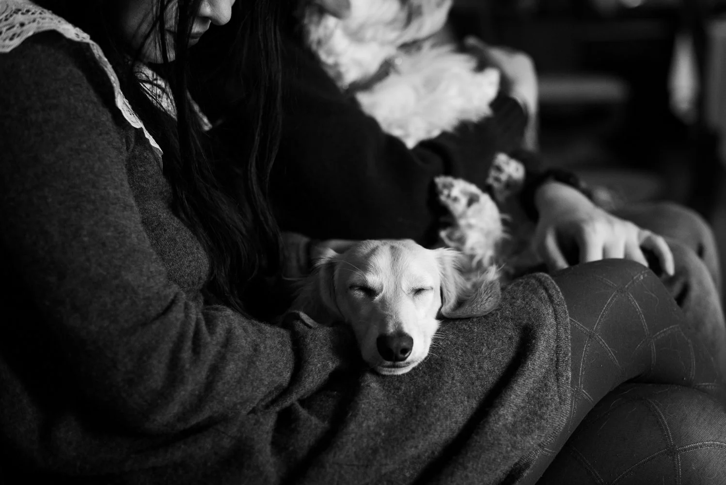 Doodle & Bambi-28-2.jpg