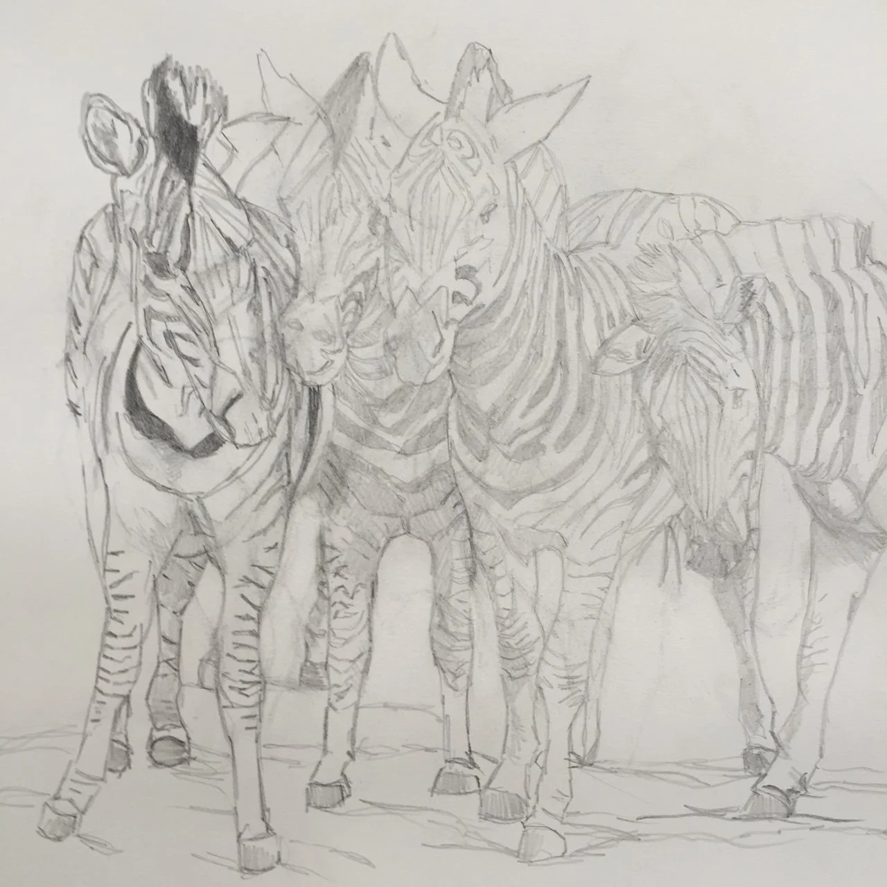 Beginning Drawing (Preparation for Painting)