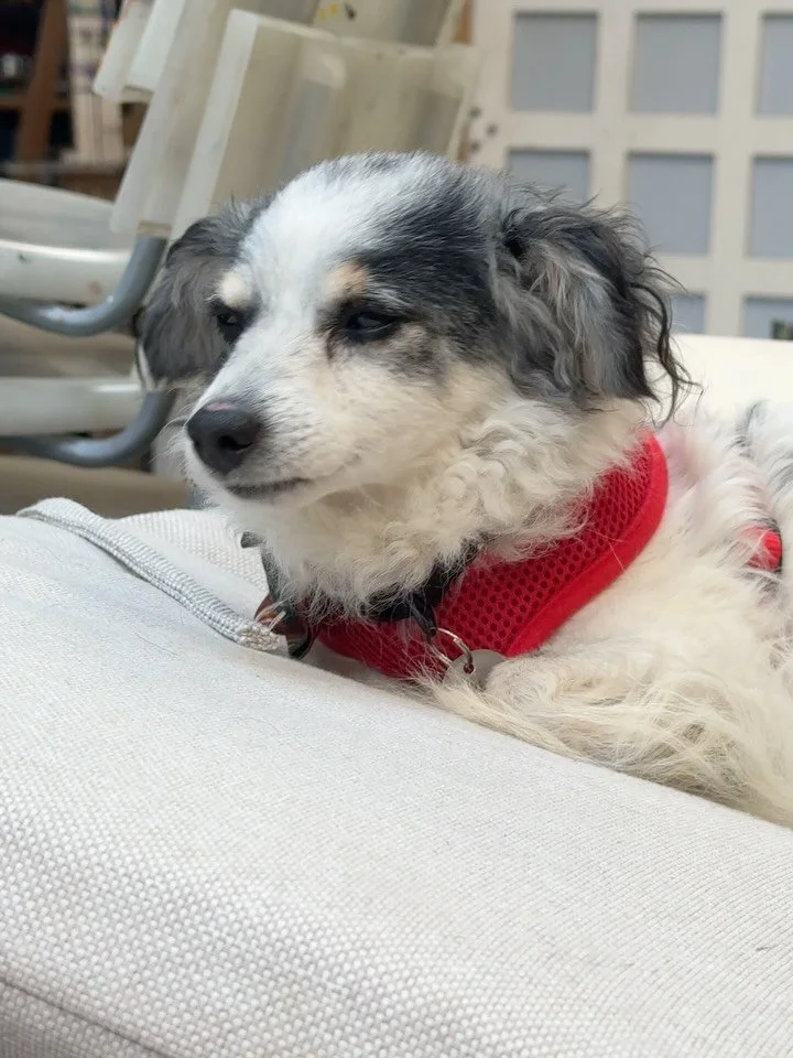 we&rsquo;re back in the studio tomorrow! if you want to begin this year with a new commitment to your art, snag the last open spot online (link in bio)

and if you&rsquo;re seeing this, don&rsquo;t forget to wish our fearless leader @stuartburtonart 