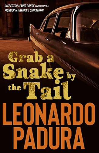 GRAB A SNAKE BY THE TAIL.jpg