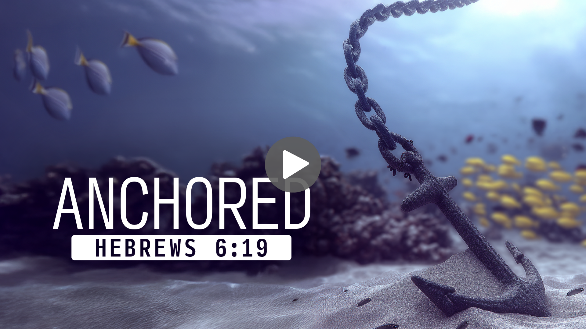 January 2, 2026 - Current