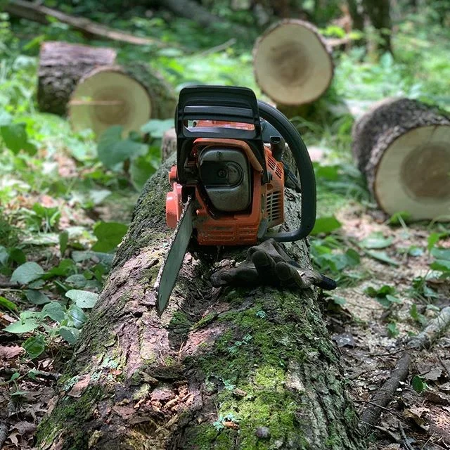 Lots of trees down at the cabin, great excuse for some #lumberjacking @husqvarnausa #cabinlife #explorewisconsin #chainsaw