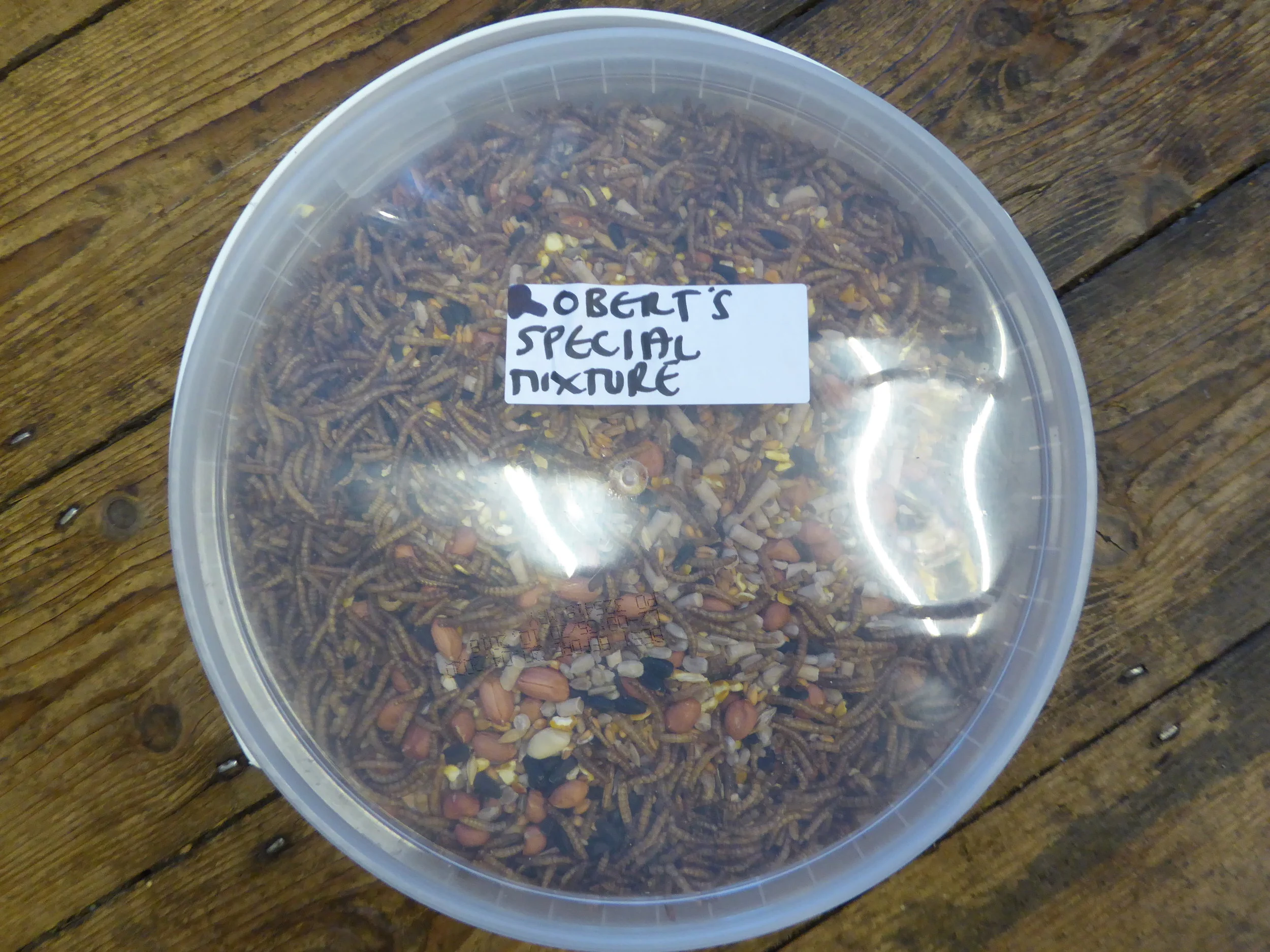 Robert's Special Mixture Bird Food Large Reusable Tub (9.25lb)