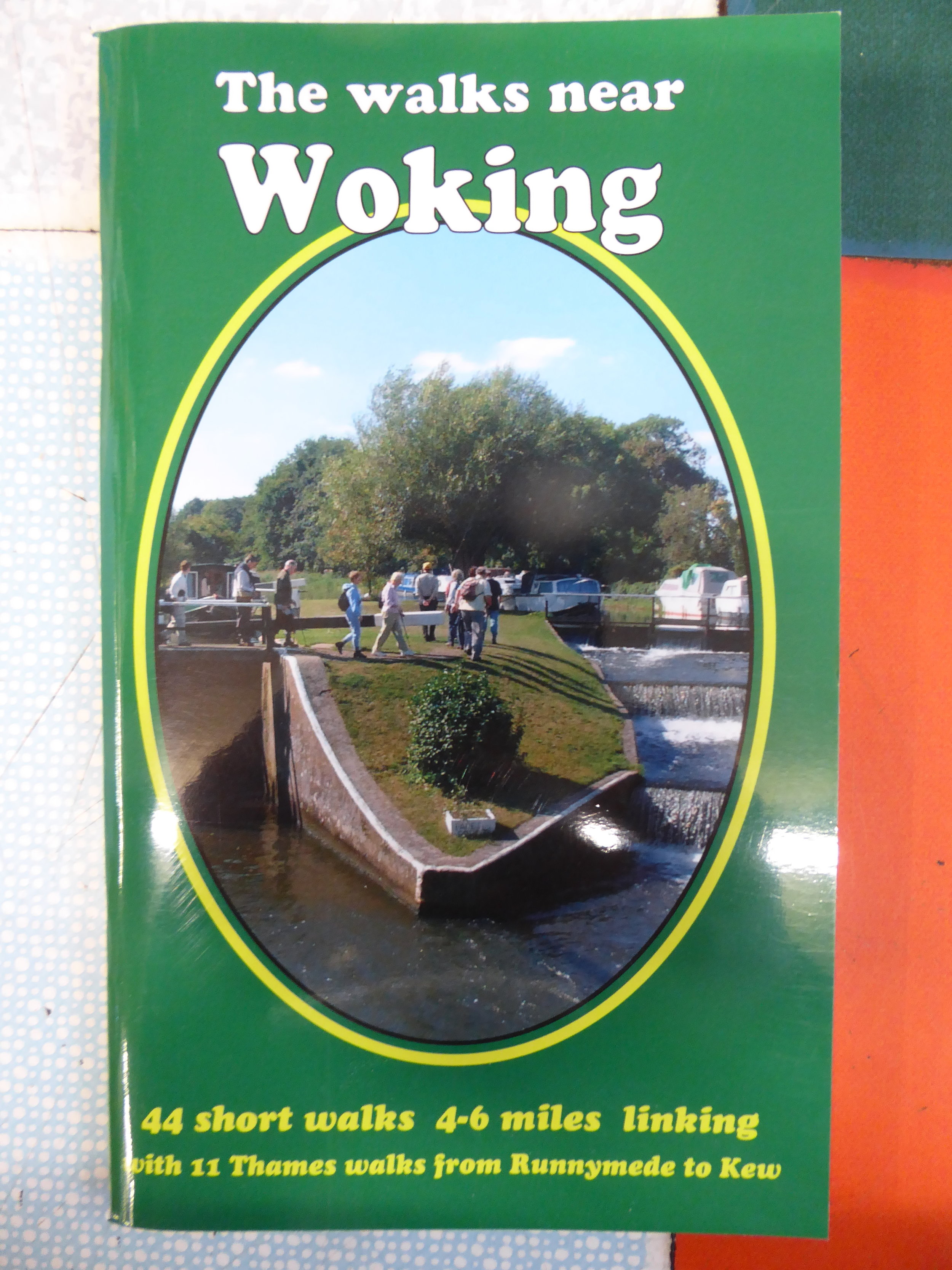 The Walks near Woking by Bill Andrews