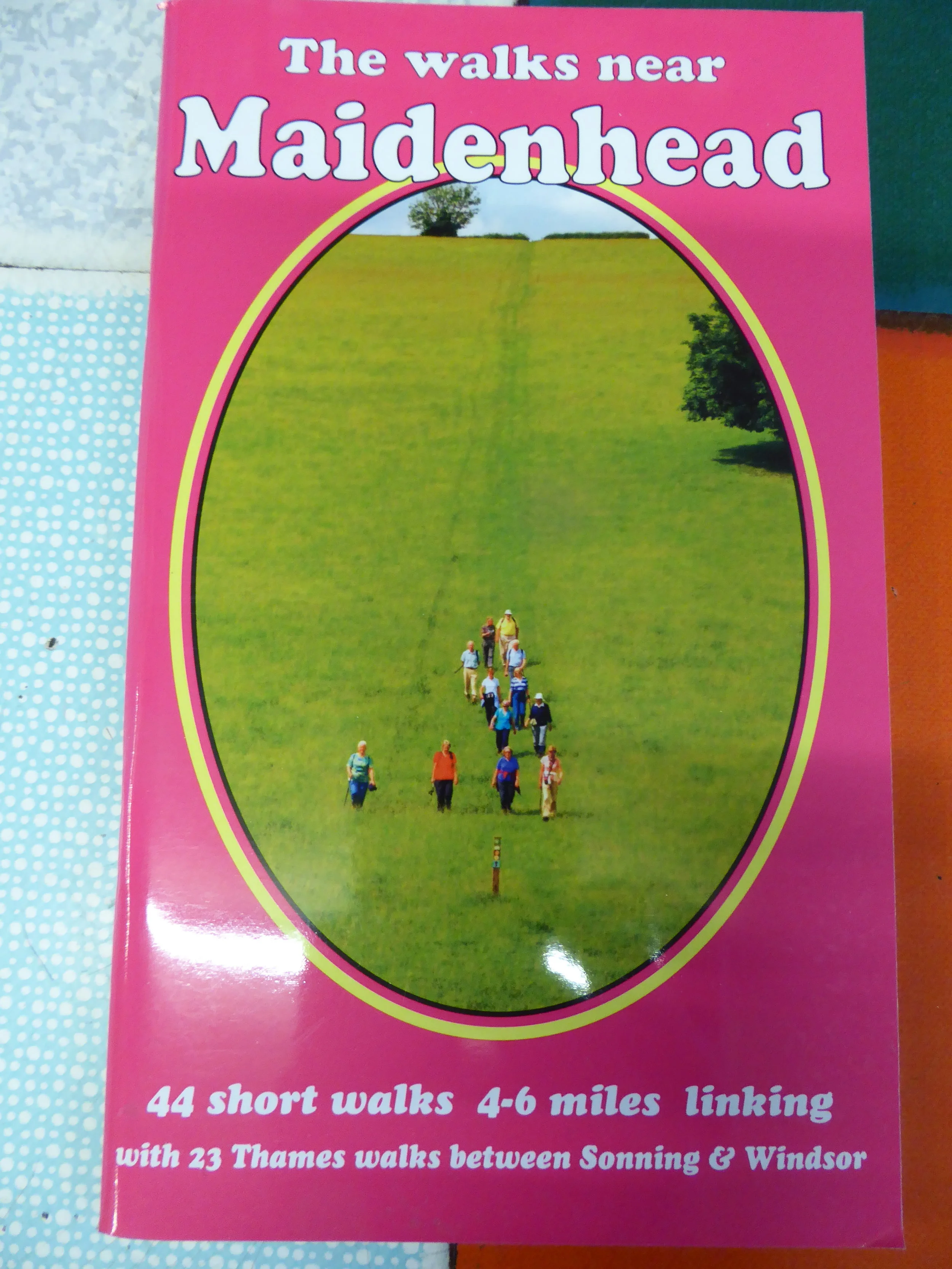 The Walks near Maidenhead by Bill Andrews