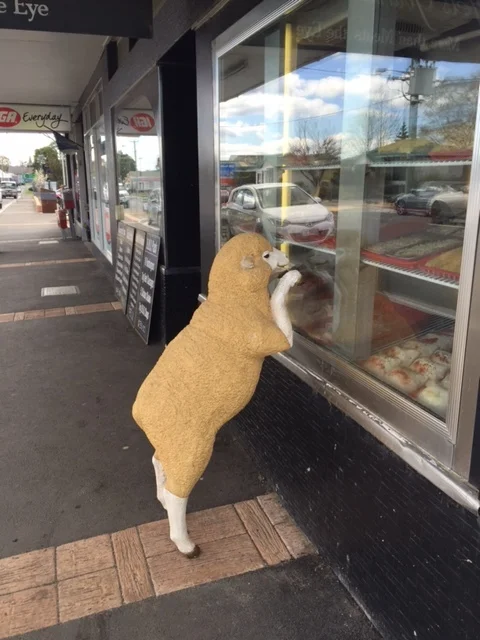   The season of over-eating is over.....