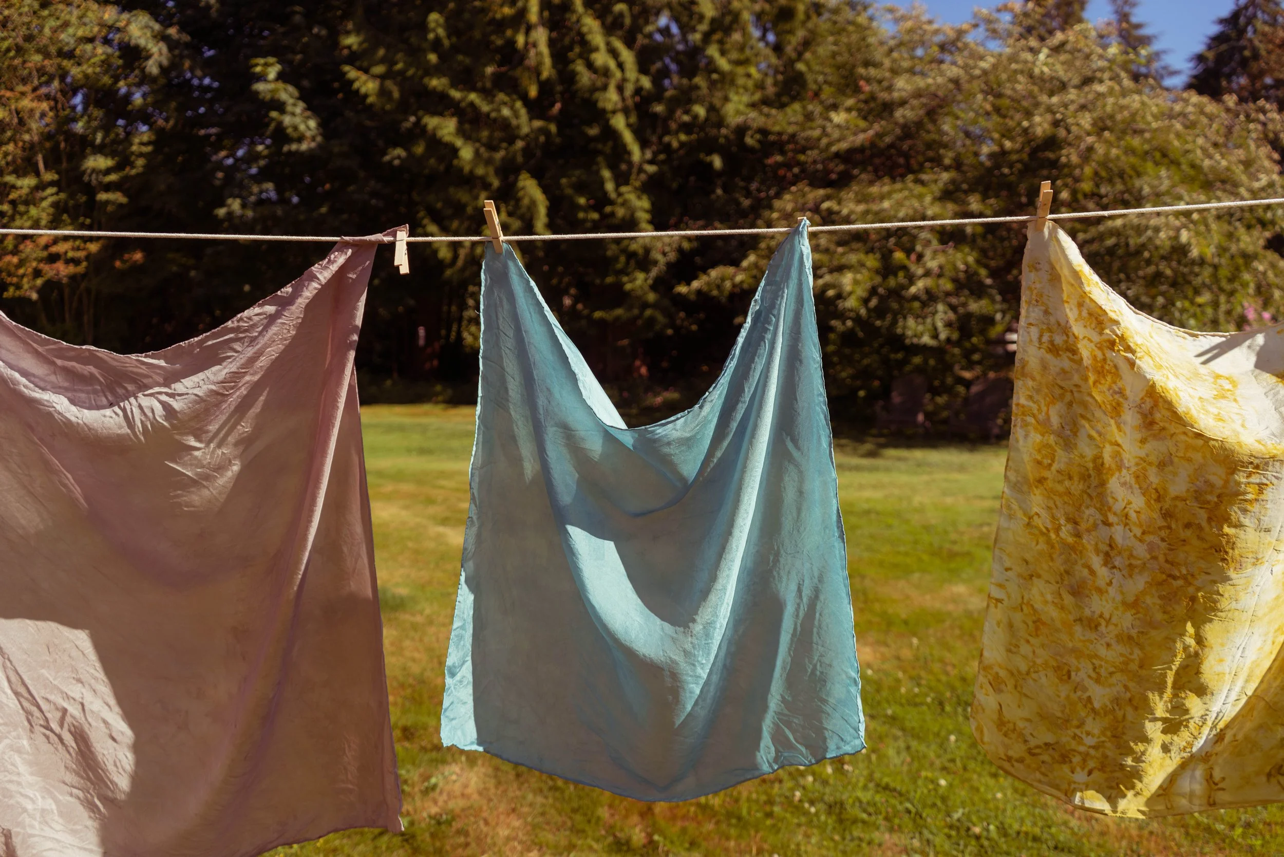 Natural Dyes, 2022