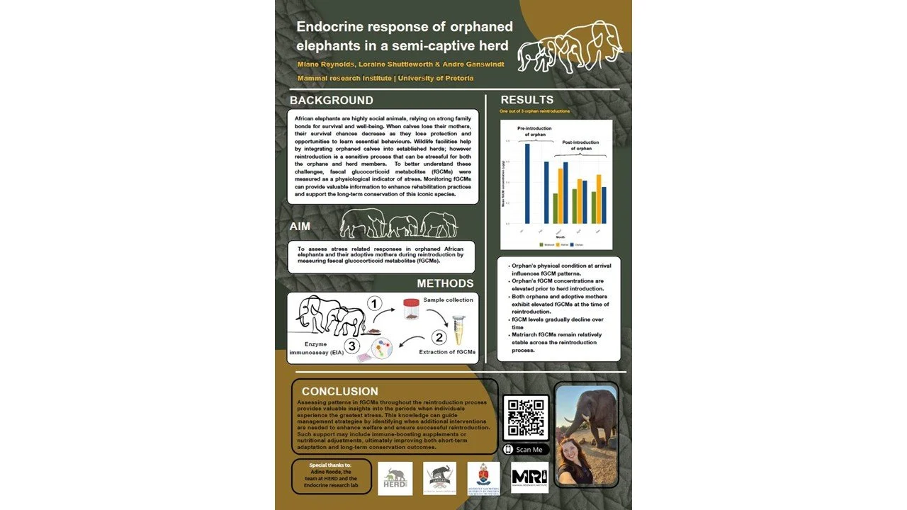 14th Oppenheimer Research Conference (3rd Prize Winner) - Miane Reynolds