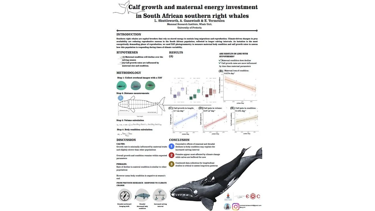 14th Oppenheimer Research Conference - Loraine Shuttleworth