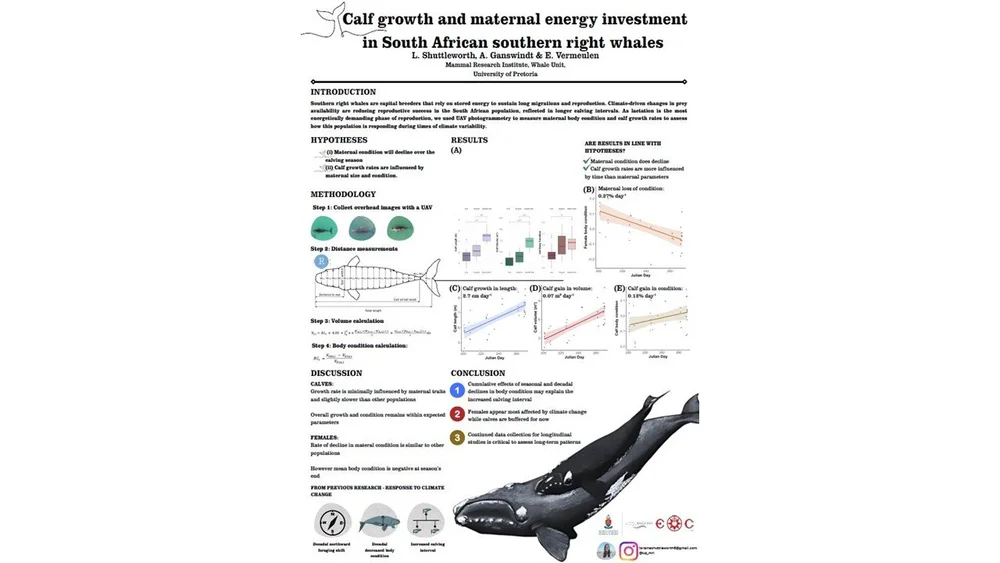 poster gallery — Mammal Research Institute