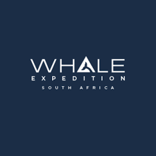 Whale expedition.png