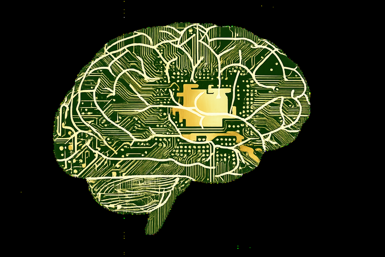 bbd_brain_hero.png