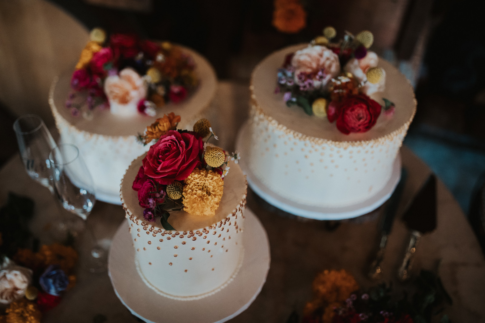  Cakes- photography by Ariele Chapman 