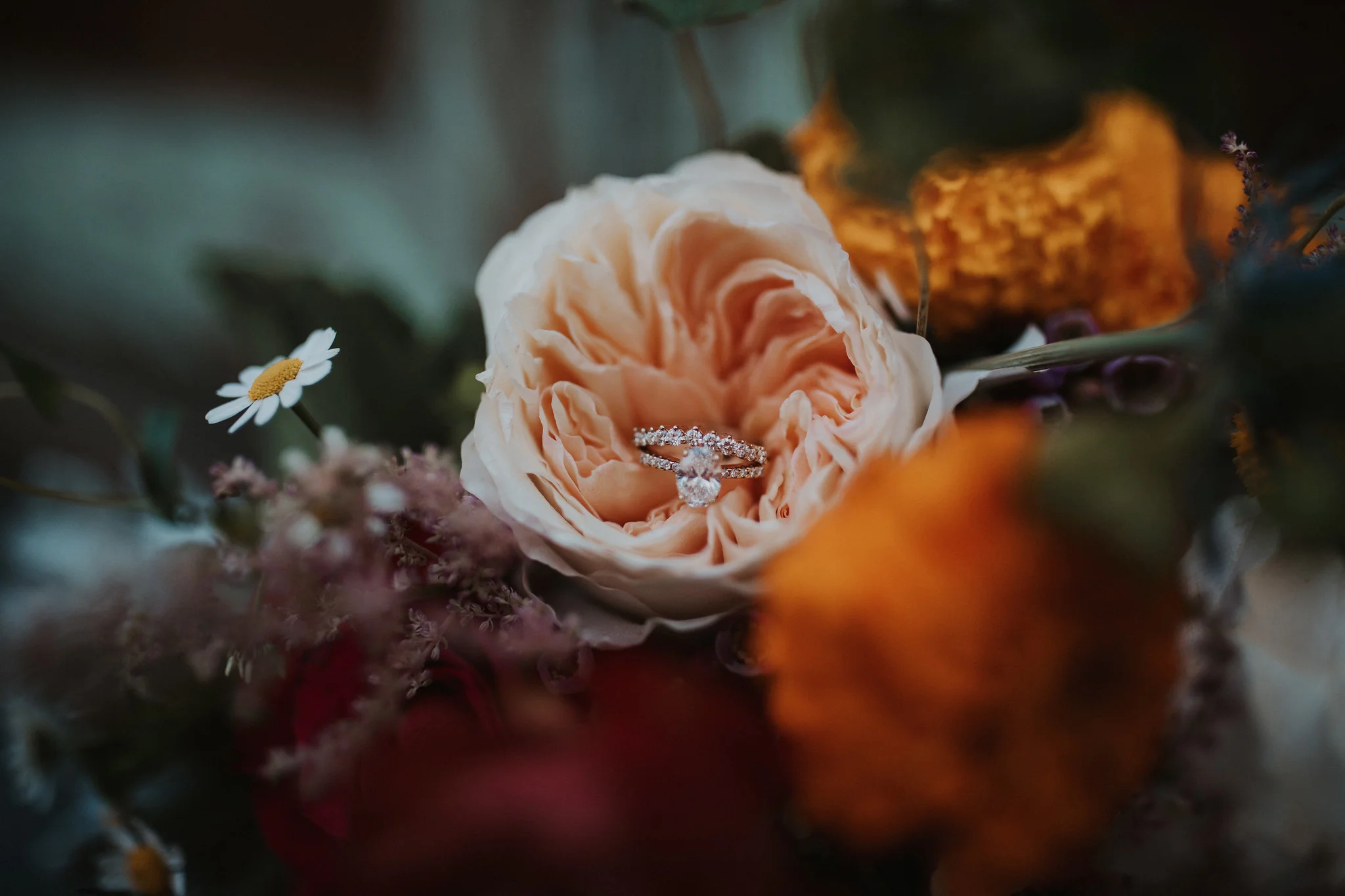 Details- photography by Ariele Chapman