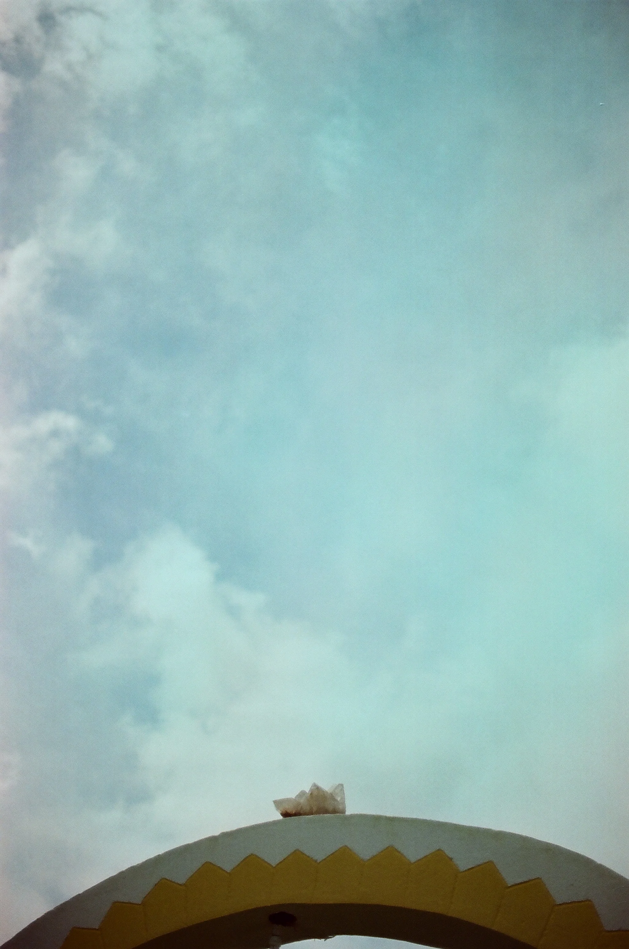 NAT_49900016 copy.JPG