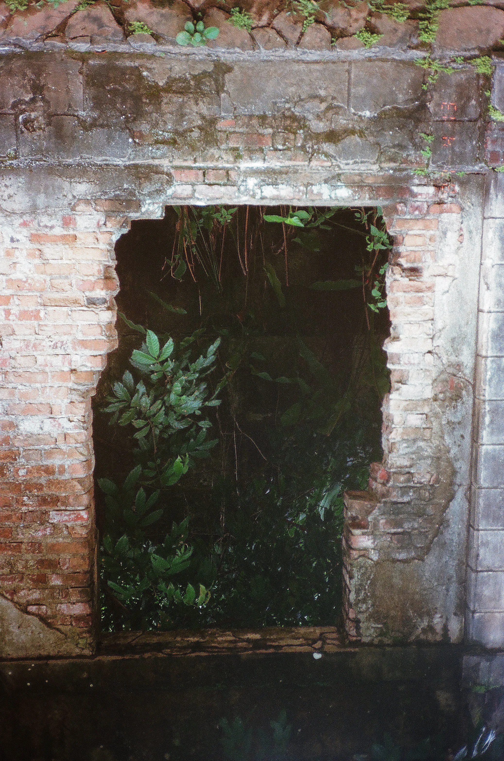 greendoor copy.jpg